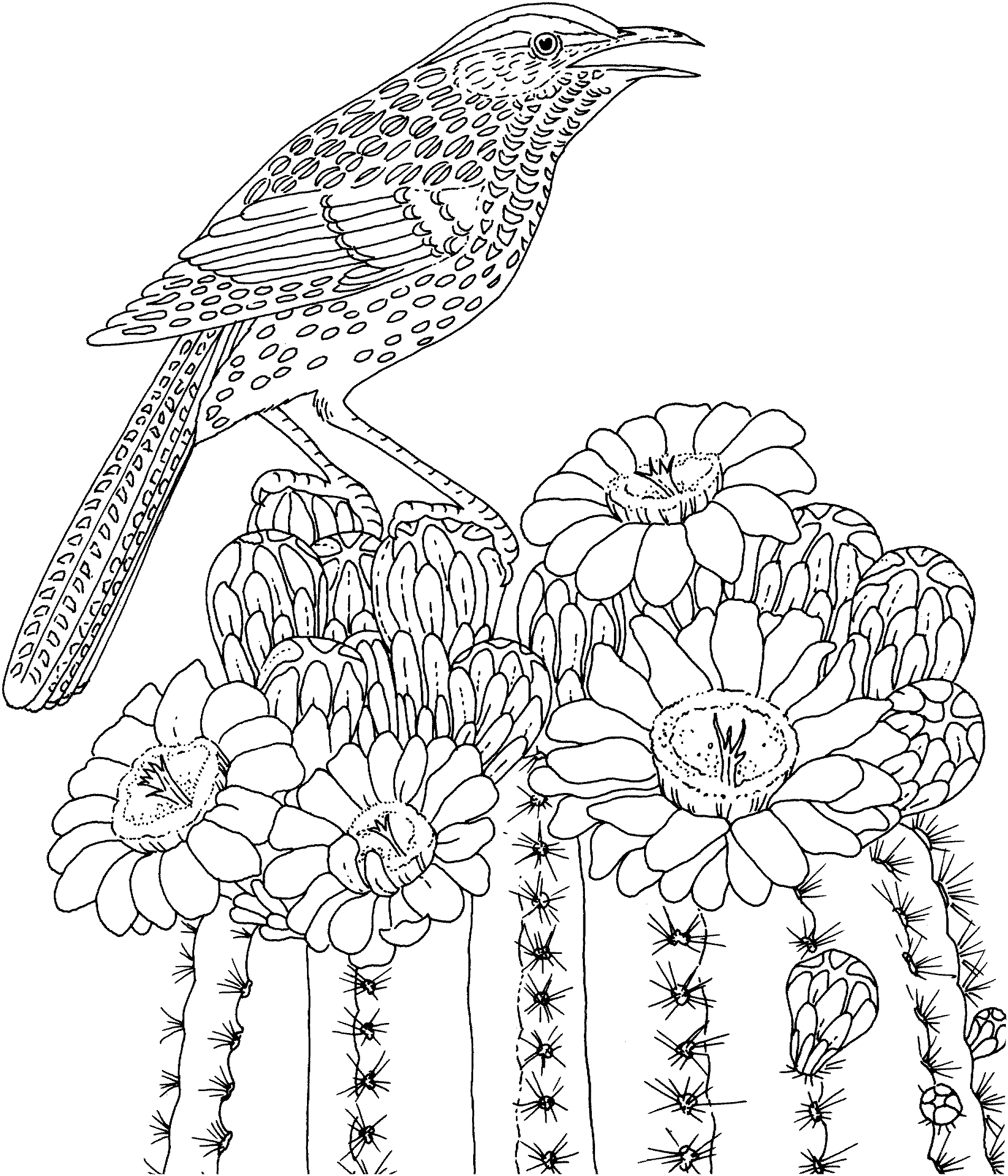 Galleries Related: Hard Coloring Pages , Cool Printable Coloring Pages