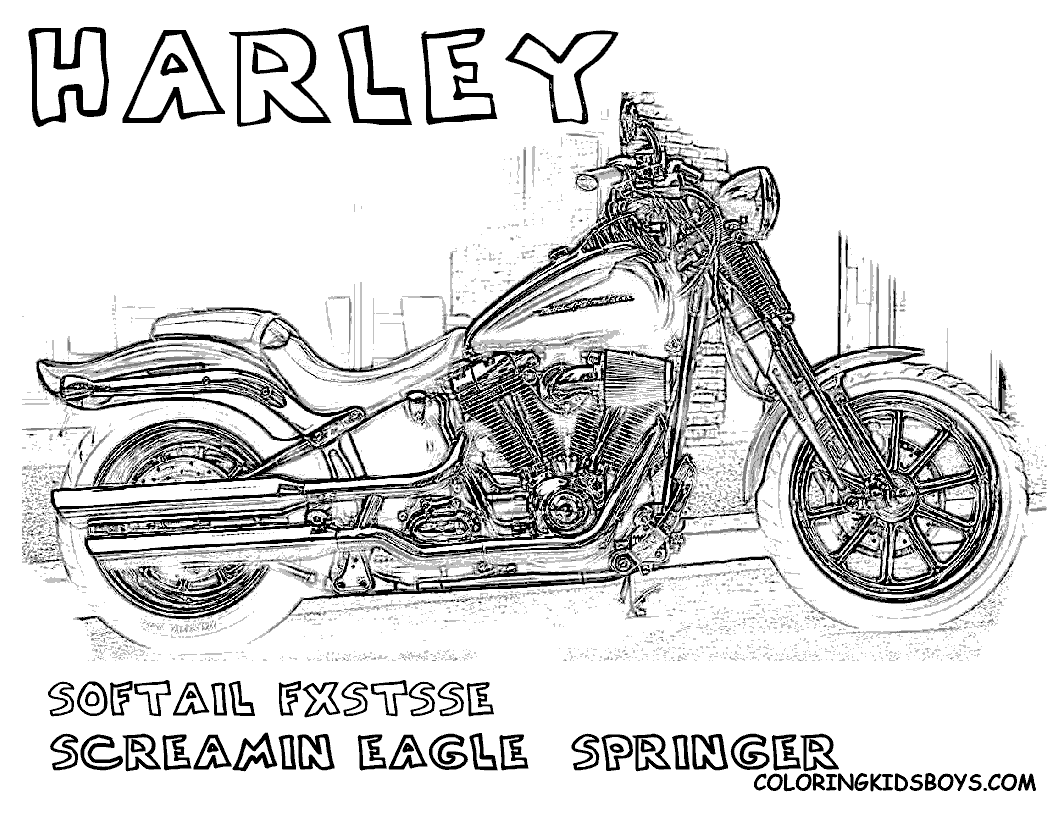 Free Harley Davidson Motocycle Coloring Pages | Harley Davidson Softail FXSTSSE ...1056 x 816