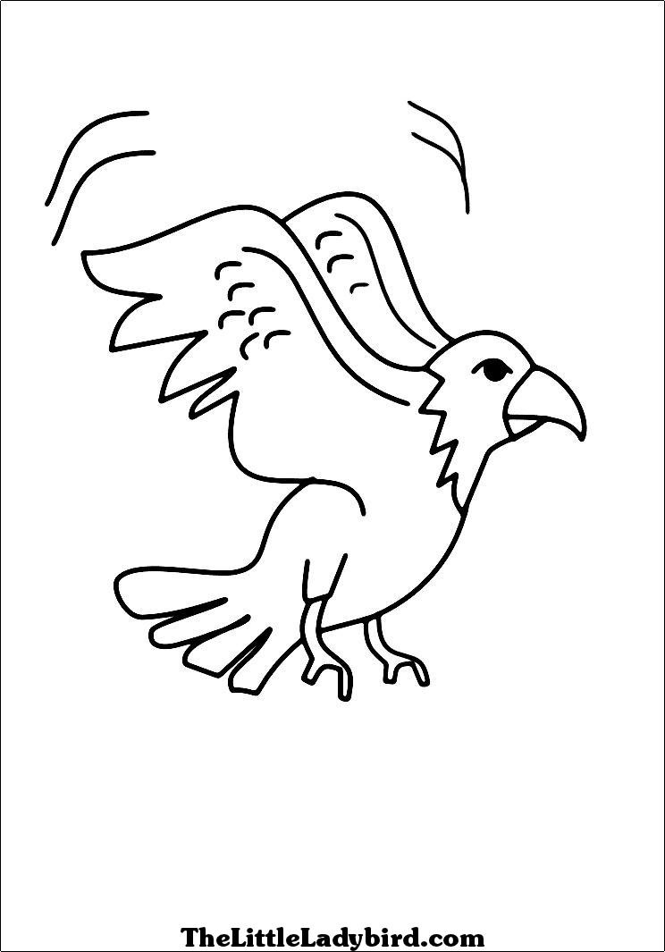 baby eagle coloring pages - photo #35