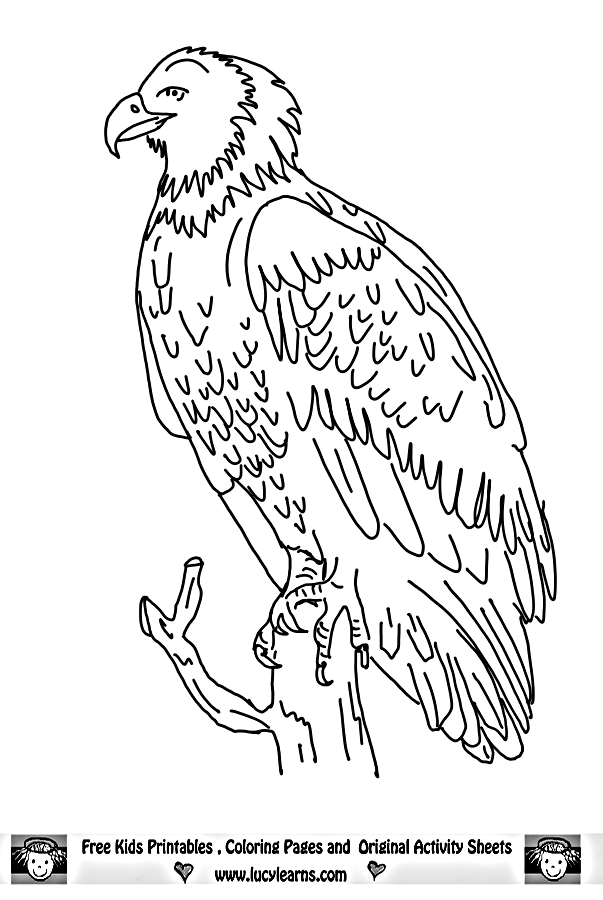 eagle power rangers coloring pages - photo #35