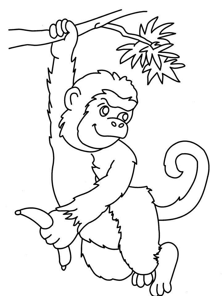 monkey coloring pages  monkey coloring page  39 free