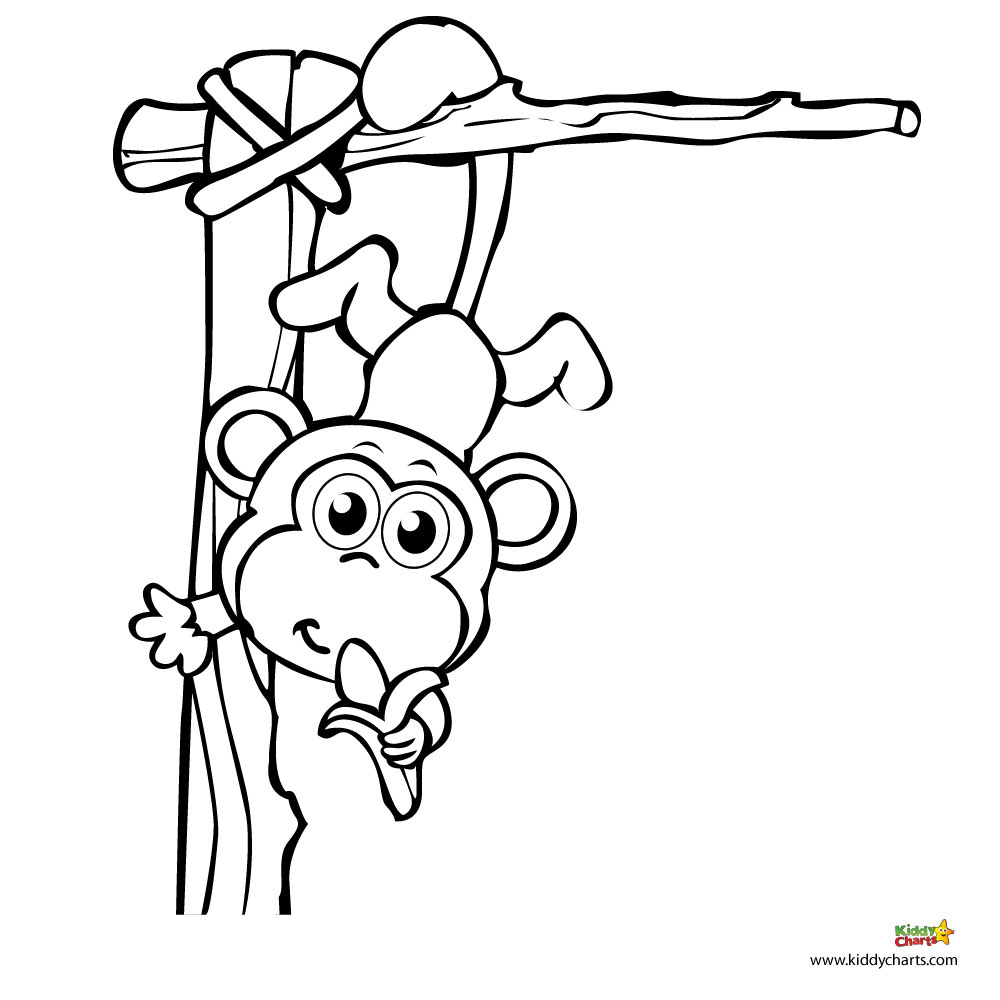 baby girl monkey coloring pages - photo #21