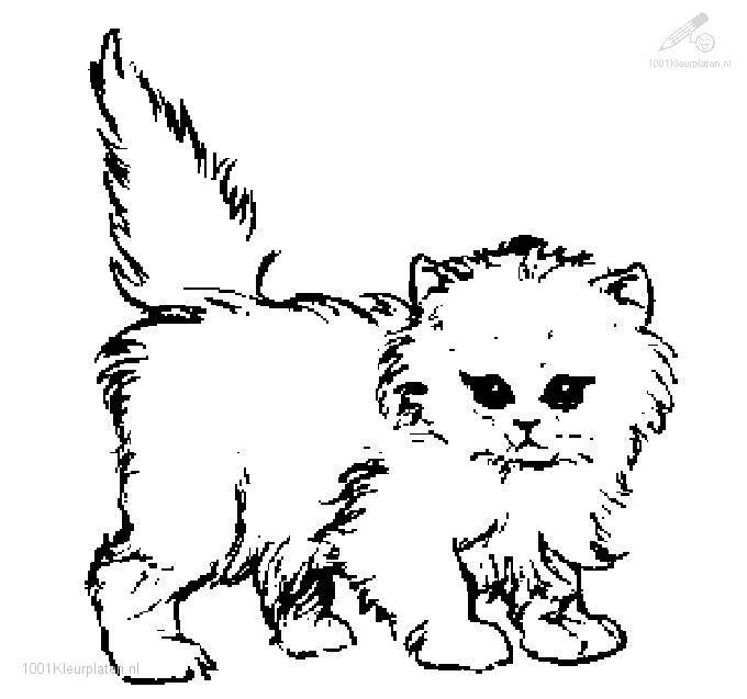 Cat Coloring Pages Cats Coloring Pages Kitten Coloring Pages